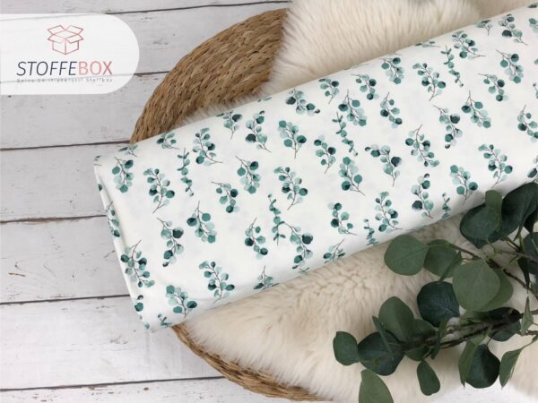 Jersey Öko-Tex-100 - Eukalyptus (ecru/mint)