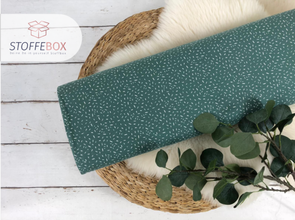 Jersey Stoff  Öko-Tex-100 - Konfetti Striche mint, weiß