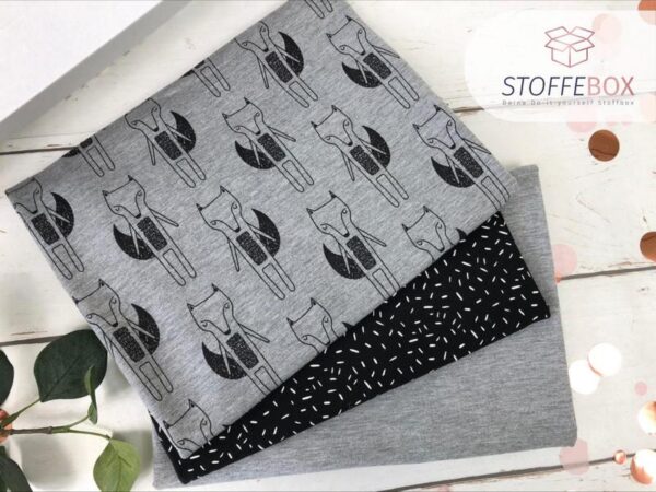 Stoffpaket BC1-BC3 – Bild 2