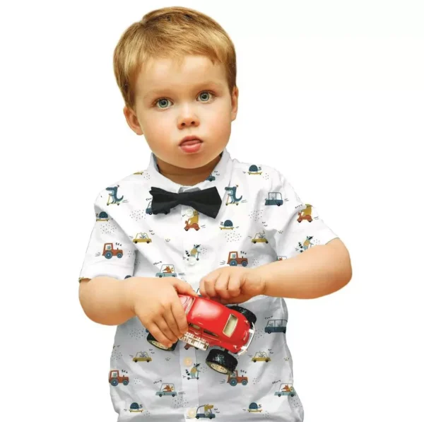 Tragebild Baumwollstoff Popelin Kinderstoff mit Tieren im auto