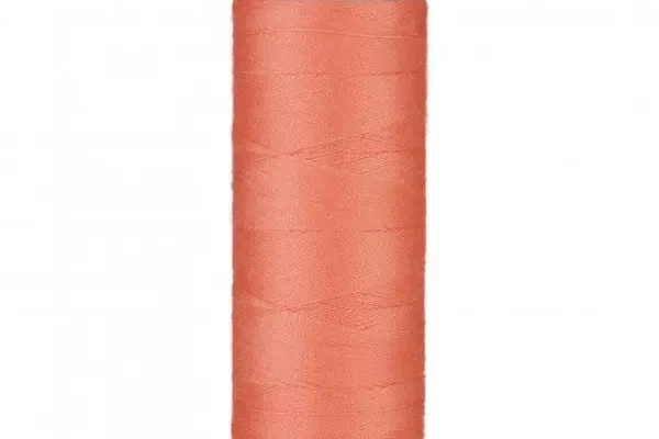 Troja_0135 lachs